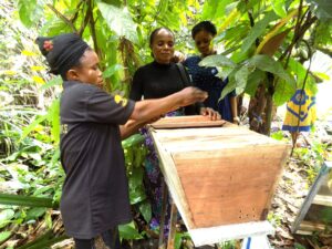 Female Eco-guards installing bee hives.