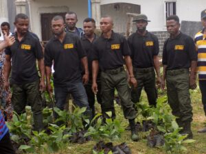 Eco-guards supporting forest regeneration